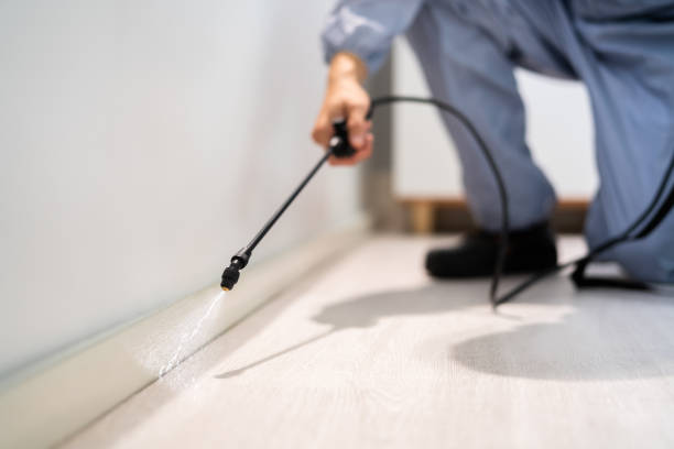 Bed Bug Pre-Treatment Preparation Assessment in Encantada-Ranchito-El Calaboz