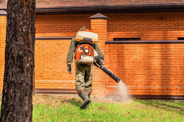 Bed Bug Clearance Verification and Documentation in Encantada-Ranchito-El Calaboz